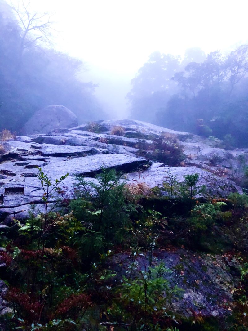 白谷雲水峡　憩いの大岩