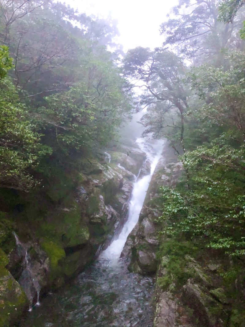 白谷雲水峡　飛竜落とし