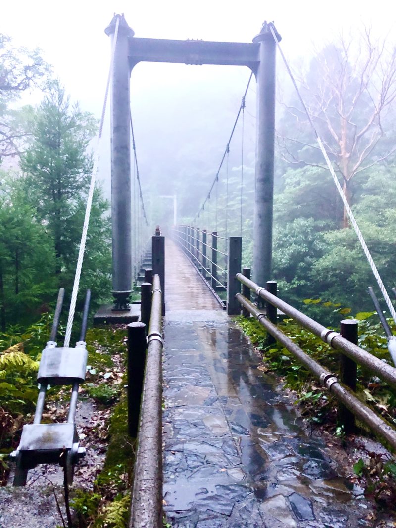 白谷雲水峡　さつきの吊橋